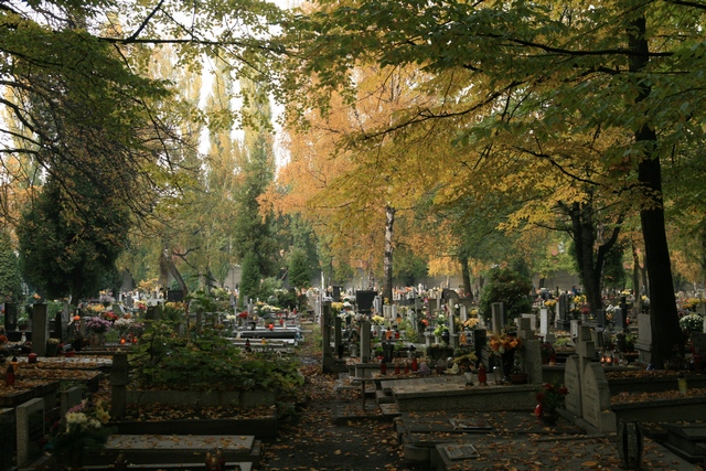 Katowice cmentarz.jpg